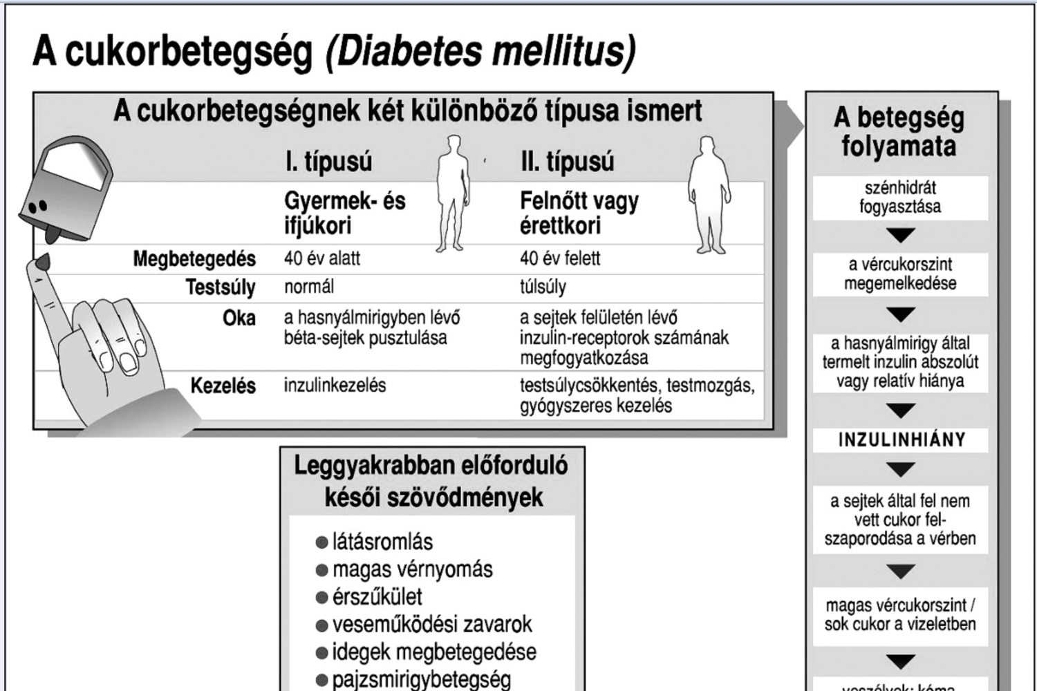 magas vérnyomás kezelése 1-es típusú diabetes mellitusban)